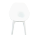 Trabella Ghibli Chair in White (Pack of 2) Chairs Trabella   