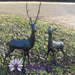 Solstice Sculptures Deer Pair Large Aluminium Dark Verdigris Statues Solstice Sculptures   